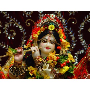 Iskcon Krishna