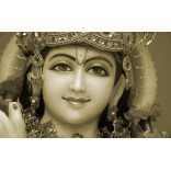 Lord Krishna statue in Marble